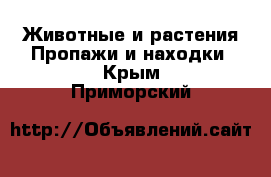 Животные и растения Пропажи и находки. Крым,Приморский